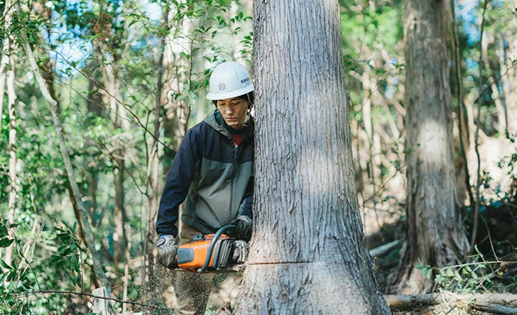 伐採作業（切捨間伐、除伐）