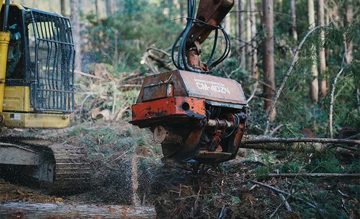 造材作業（プロセッサ）