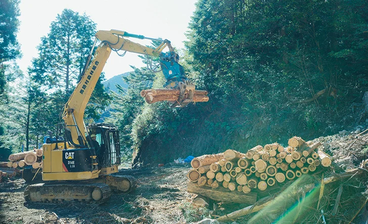 掽立（はえたて）作業